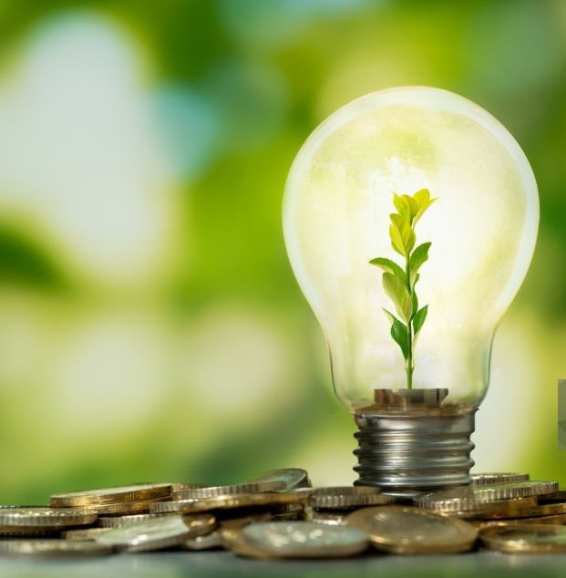 Istockphoto-1439843828-1024x1024 Modificada